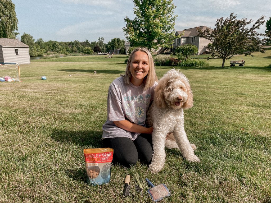 How to Brush an Aussiedoodle | Aussiedoodle Grooming Maintenance