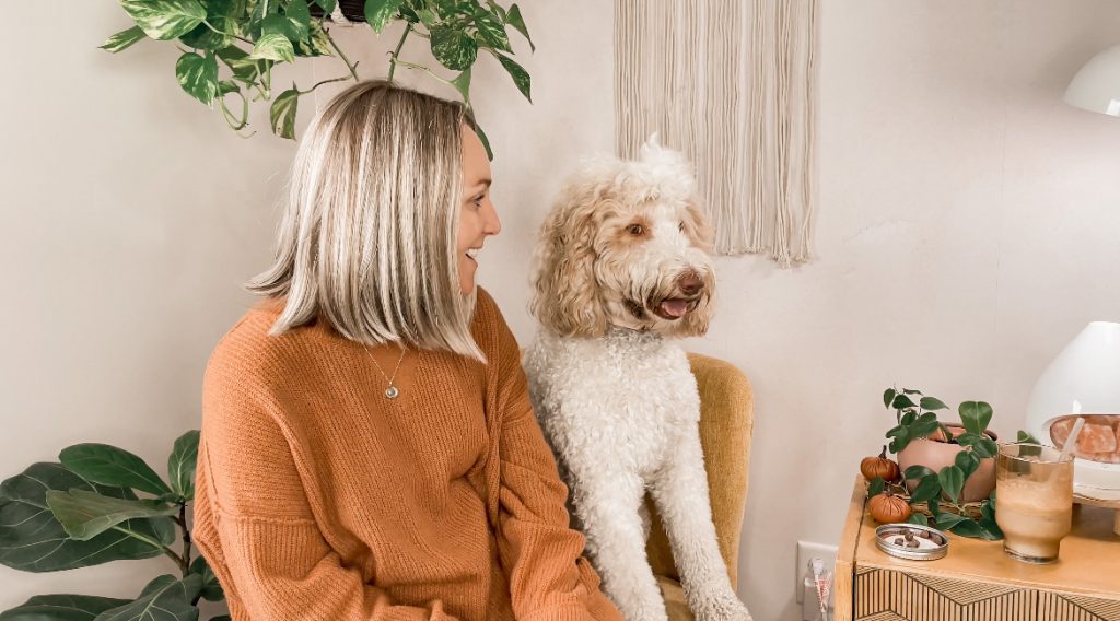 5 Aussiedoodle Pros and Cons | Torey Noora Aussiedoodle Videos